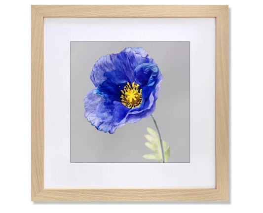 20x20 Wood Picture Frame with 16x16 Mat | Home Wall Decor - Horizon Endless
