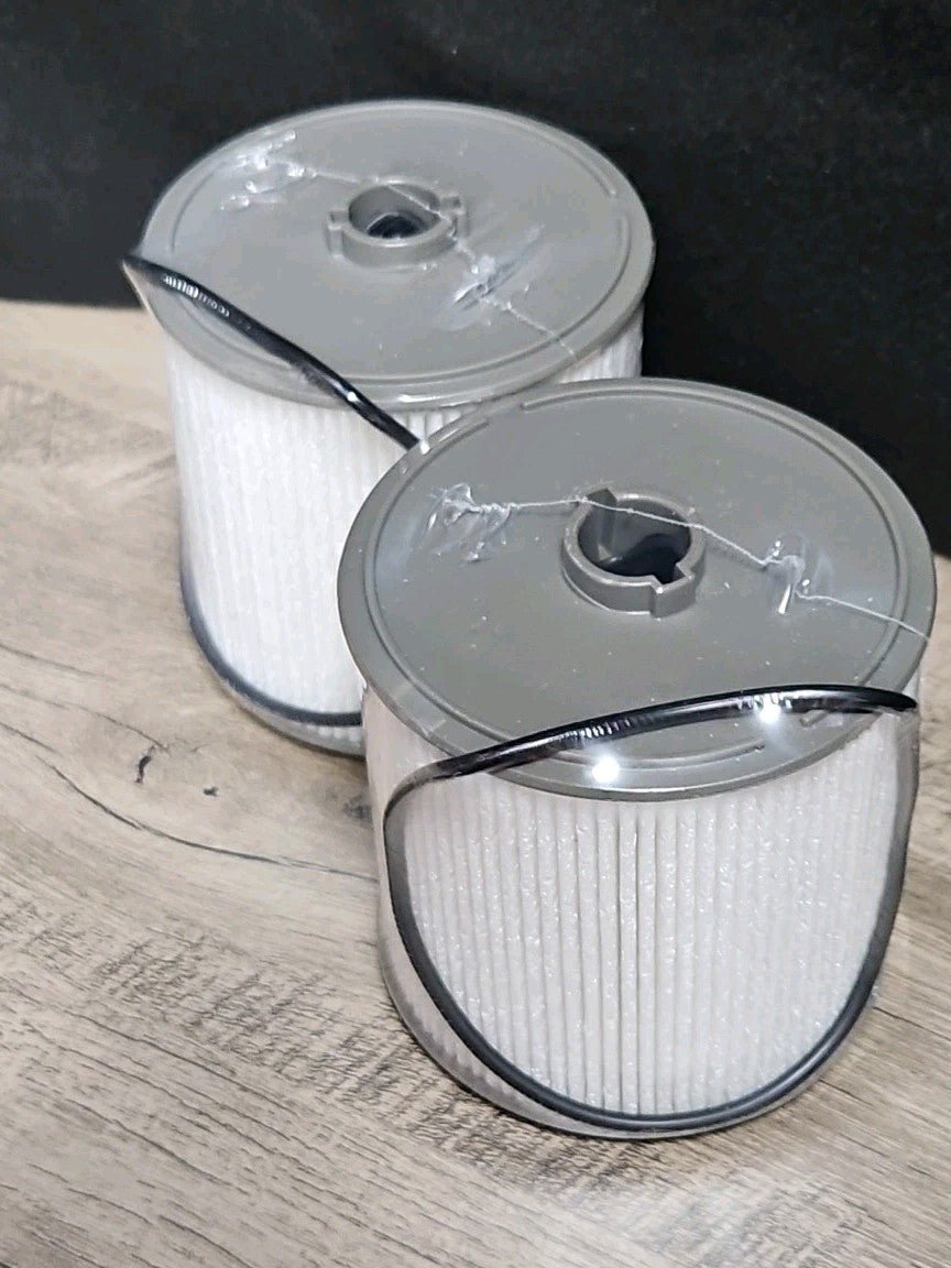 2pcs Fuel Water Separator Filter Replace 68436631AA For Cummins 6.7L Fast Ship - Horizon Endless