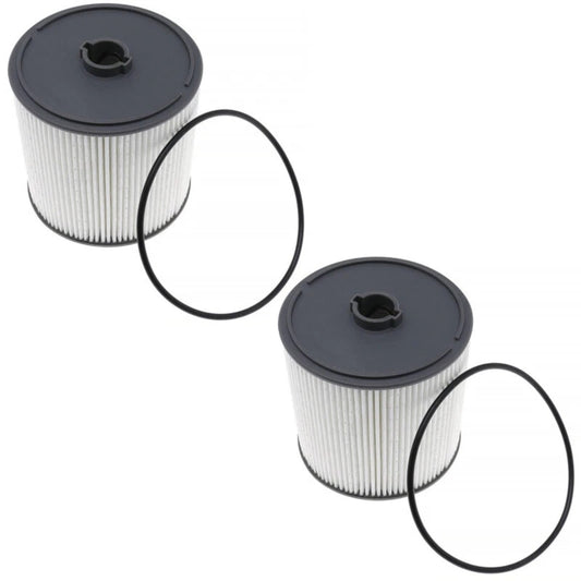 2pcs Fuel Water Separator Filter Replace 68436631AA For Cummins 6.7L Fast Ship - Horizon Endless