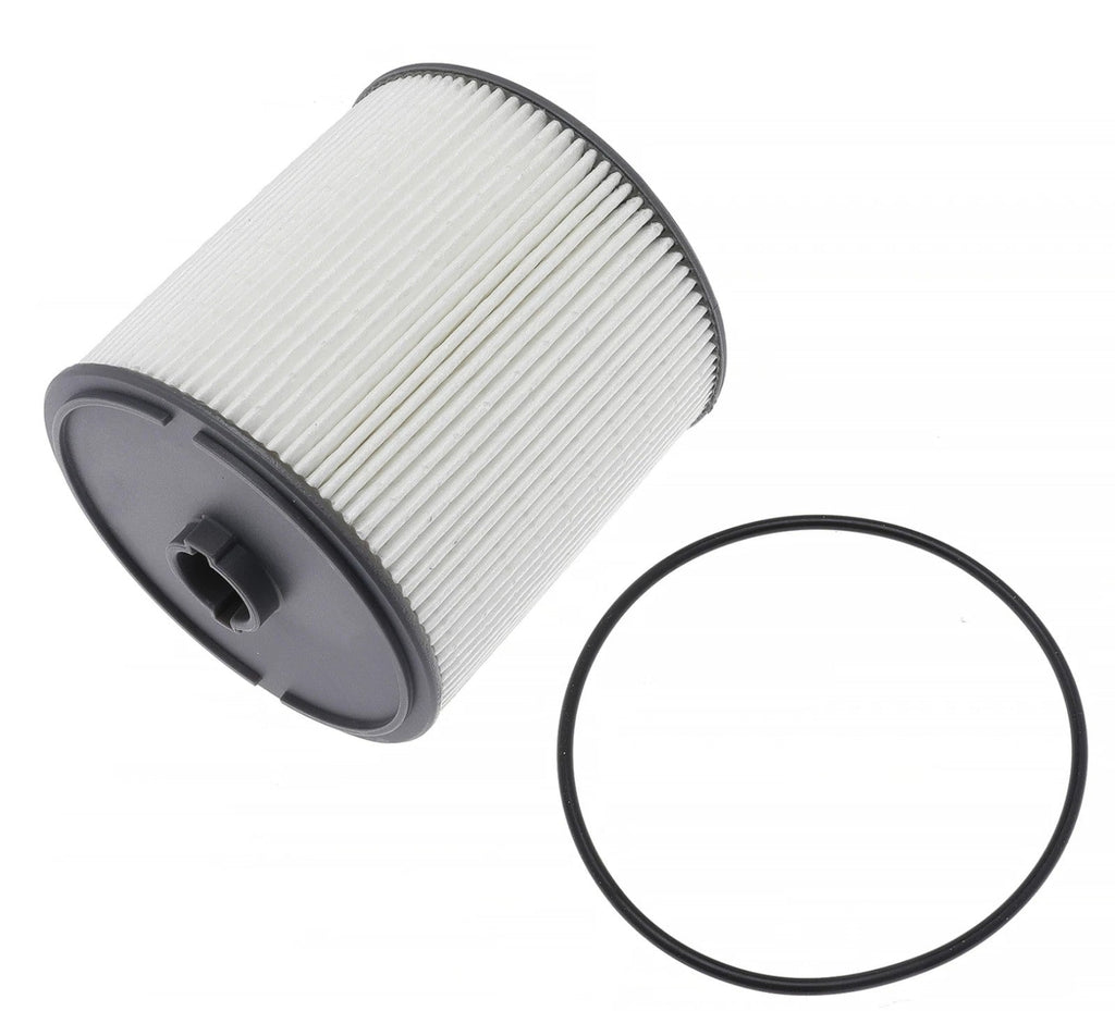 2pcs Fuel Water Separator Filter Replace 68436631AA For Cummins 6.7L Fast Ship - Horizon Endless