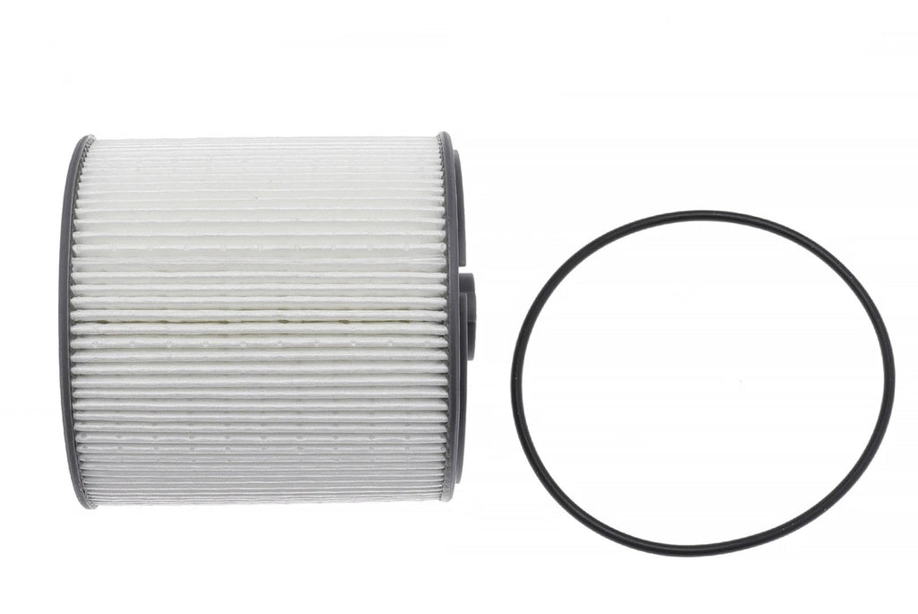 2pcs Fuel Water Separator Filter Replace 68436631AA For Cummins 6.7L Fast Ship - Horizon Endless