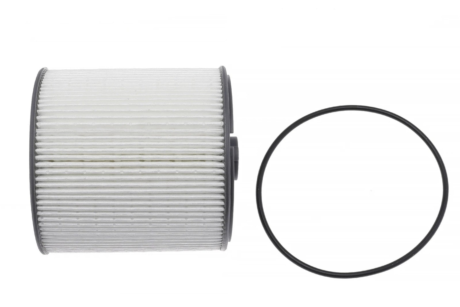 2pcs Fuel Water Separator Filter Replace 68436631AA For Cummins 6.7L Fast Ship - Horizon Endless