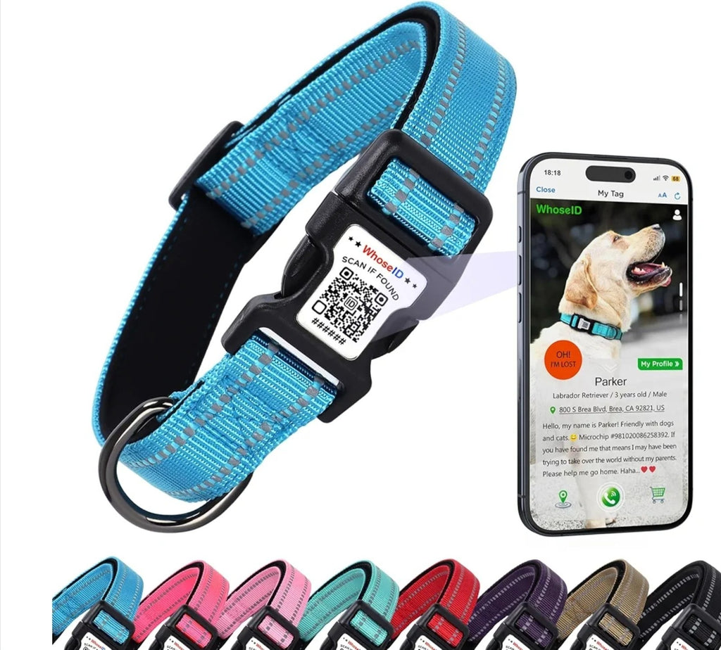 Reflective Dog Collar with QR Code Tag, Personalized Dog Collar, Safety Night Vi