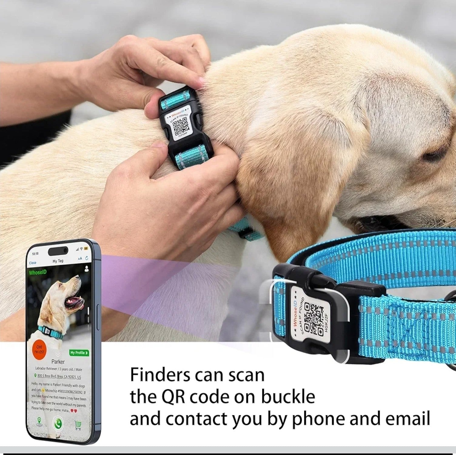 Reflective Dog Collar with QR Code Tag, Personalized Dog Collar, Safety Night Vi