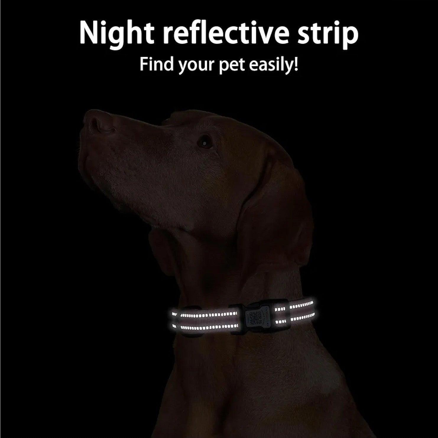 Reflective Dog Collar with QR Code Tag, Personalized Dog Collar, Safety Night Vi