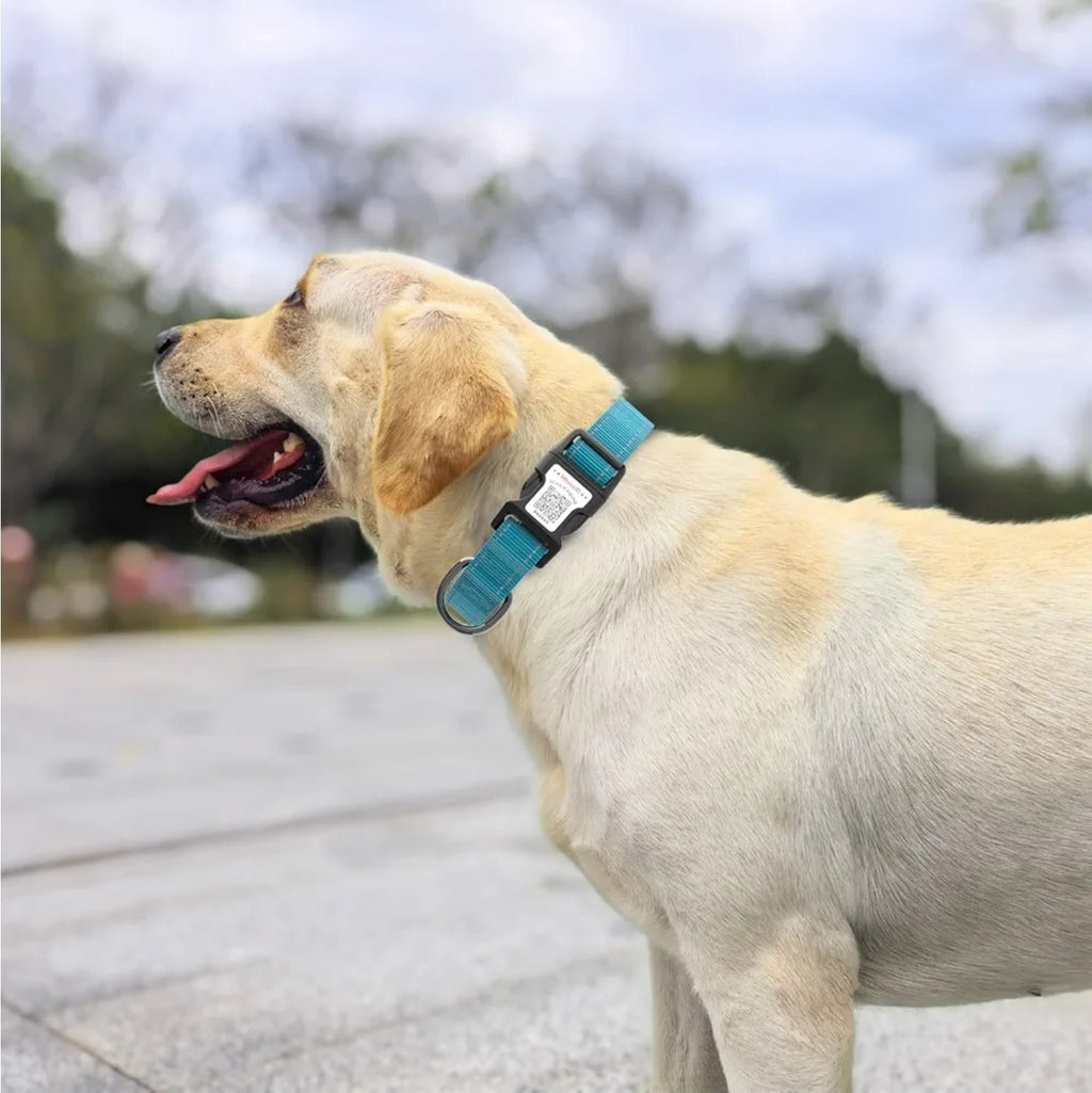 Reflective Dog Collar with QR Code Tag, Personalized Dog Collar, Safety Night Vi