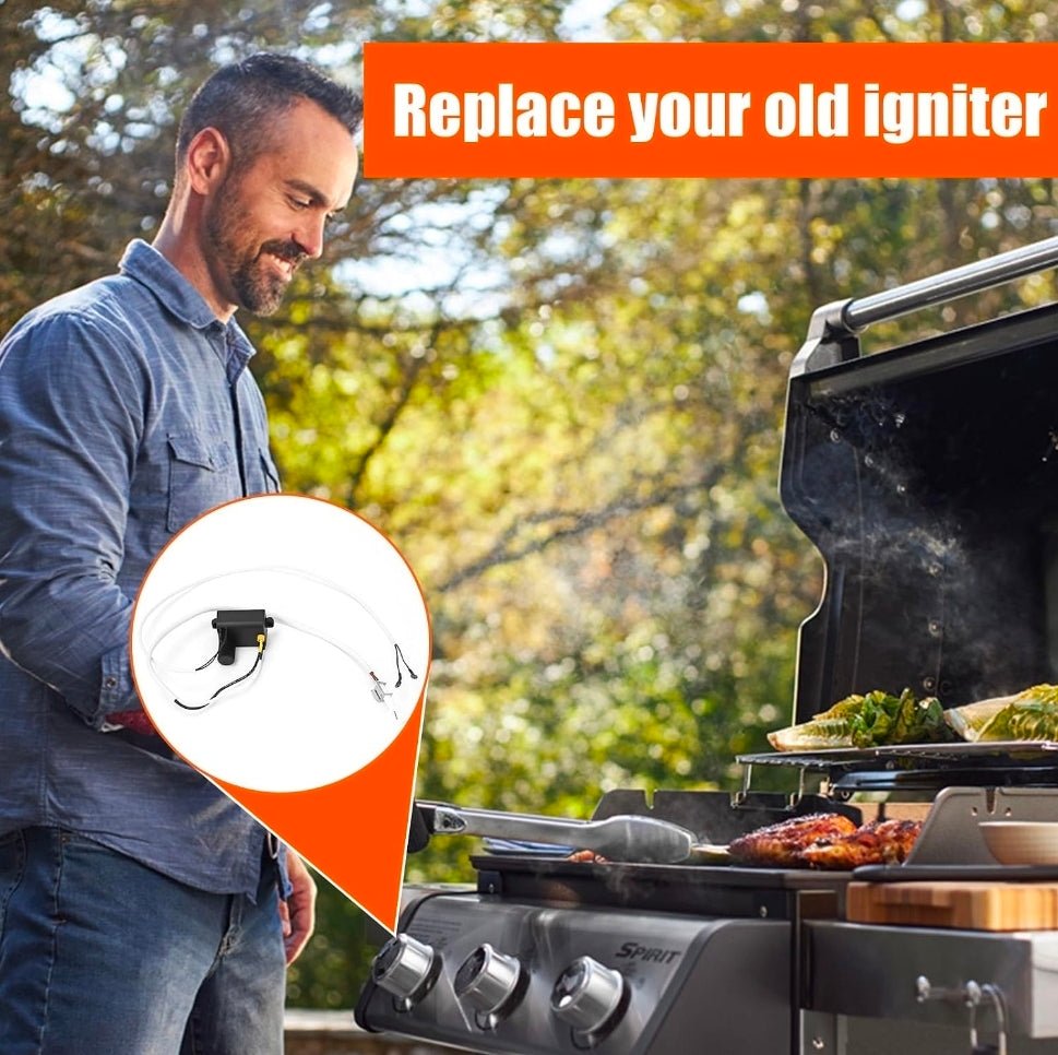 Weber Spirit Igniter Replacement - Grill Button for Spirit 210/310 Models - Horizon Endless