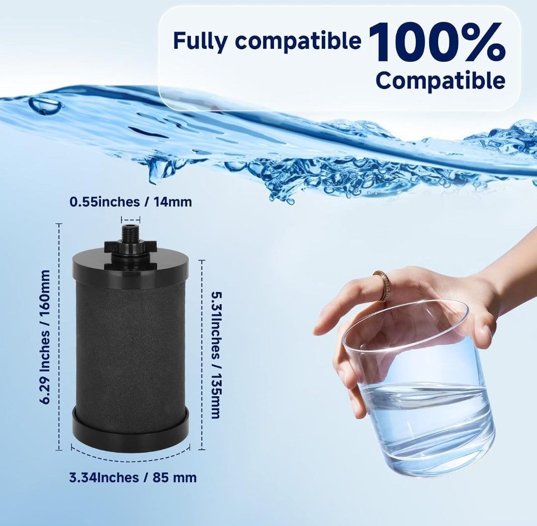 2387 Pro Black Water Filter Replacement 2 Pack, NSF/ANSI 42 Certified, Compatible with Alexapure Pro Water Filtration System, 5,000 Gallon Capacity