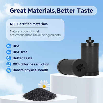 2387 Pro Black Water Filter Replacement 2 Pack, NSF/ANSI 42 Certified, Compatible with Alexapure Pro Water Filtration System, 5,000 Gallon Capacity