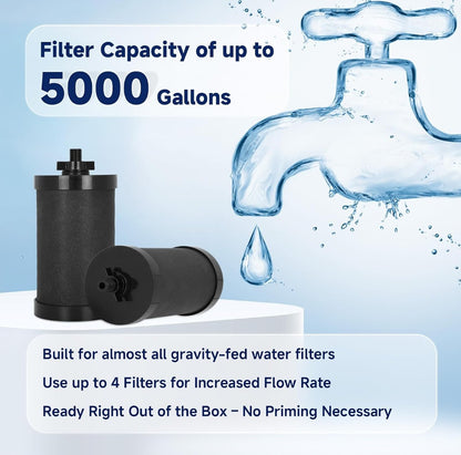 2387 Pro Black Water Filter Replacement 2 Pack, NSF/ANSI 42 Certified, Compatible with Alexapure Pro Water Filtration System, 5,000 Gallon Capacity
