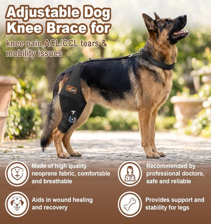 Adjustable Dog Knee Brace for Torn ACL/CCL | Right Leg (L) - Horizon Endless