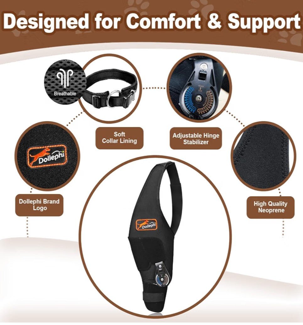 Adjustable Dog Knee Brace for Torn ACL/CCL | Right Leg (L) - Horizon Endless