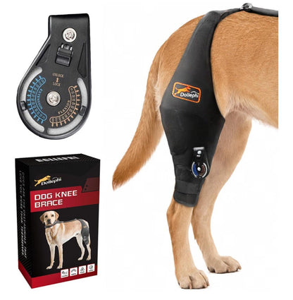 Adjustable Dog Knee Brace for Torn ACL/CCL | Right Leg (L) - Horizon Endless