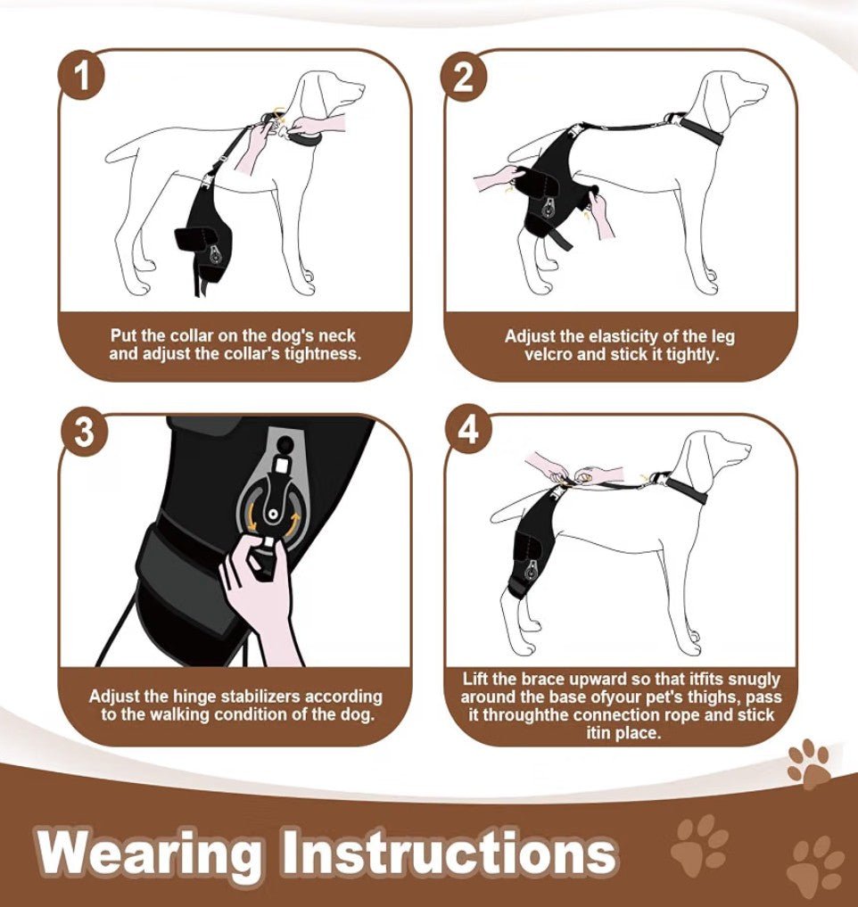 Adjustable Dog Knee Brace for Torn ACL/CCL | Right Leg (L) - Horizon Endless