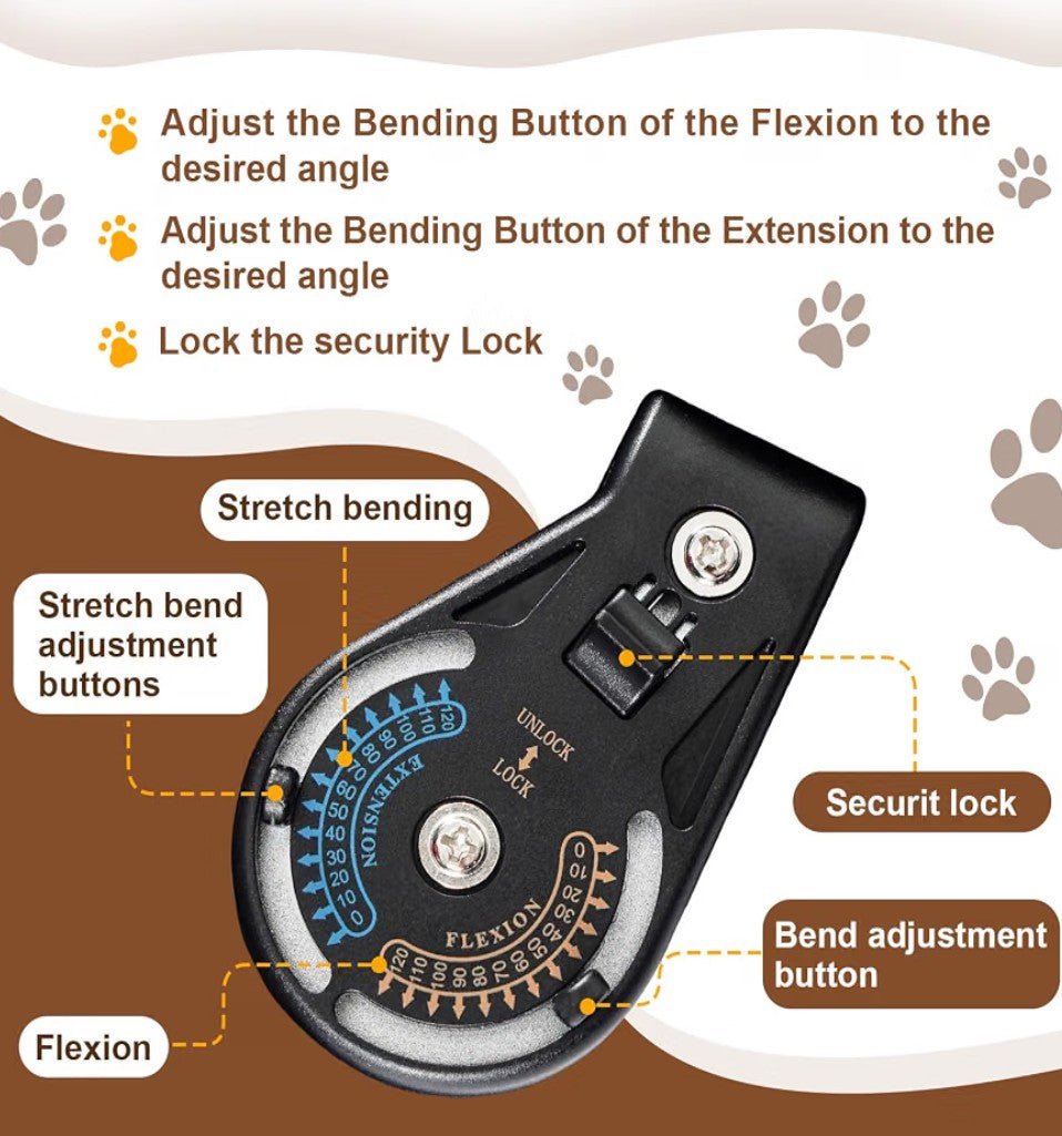 Adjustable Dog Knee Brace for Torn ACL/CCL | Right Leg (L) - Horizon Endless
