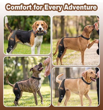 Adjustable Dog Knee Brace for Torn ACL/CCL | Right Leg (L) - Horizon Endless