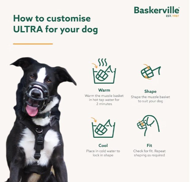 Baskerville ULTRA Dog Muzzle Size 3 – Adjustable Padded Humane Muzzle for Small & Medium Dogs - Horizon Endless
