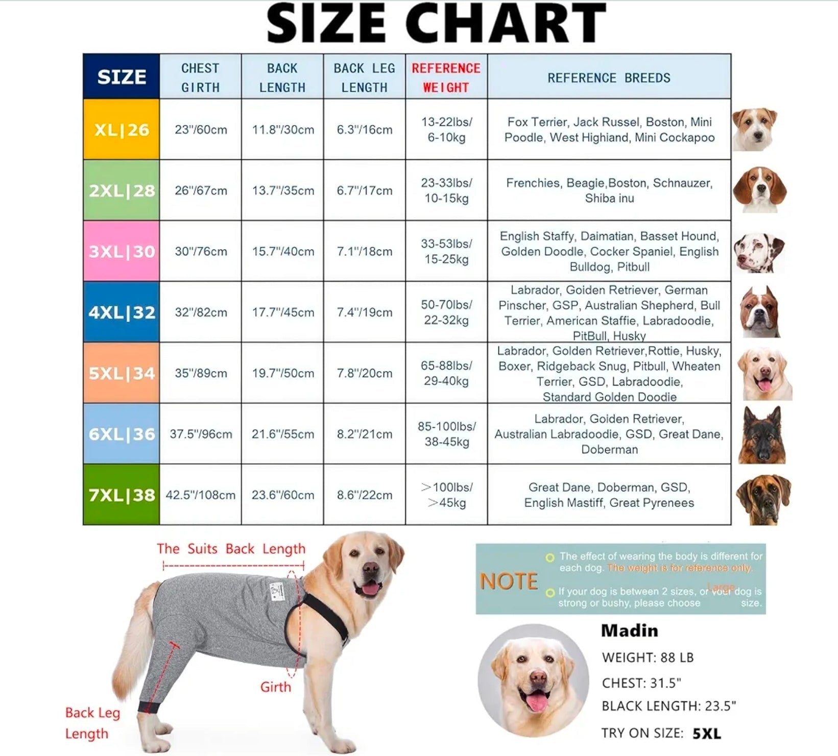 Gray Dog Recovery Suit: Comfy Hip Wound Protective Pants - Horizon Endless