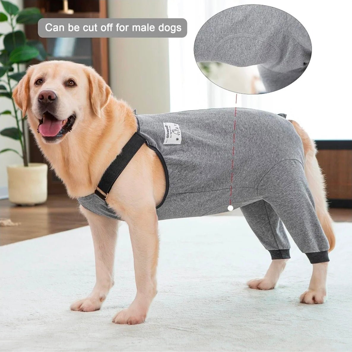 Gray Dog Recovery Suit: Comfy Hip Wound Protective Pants - Horizon Endless