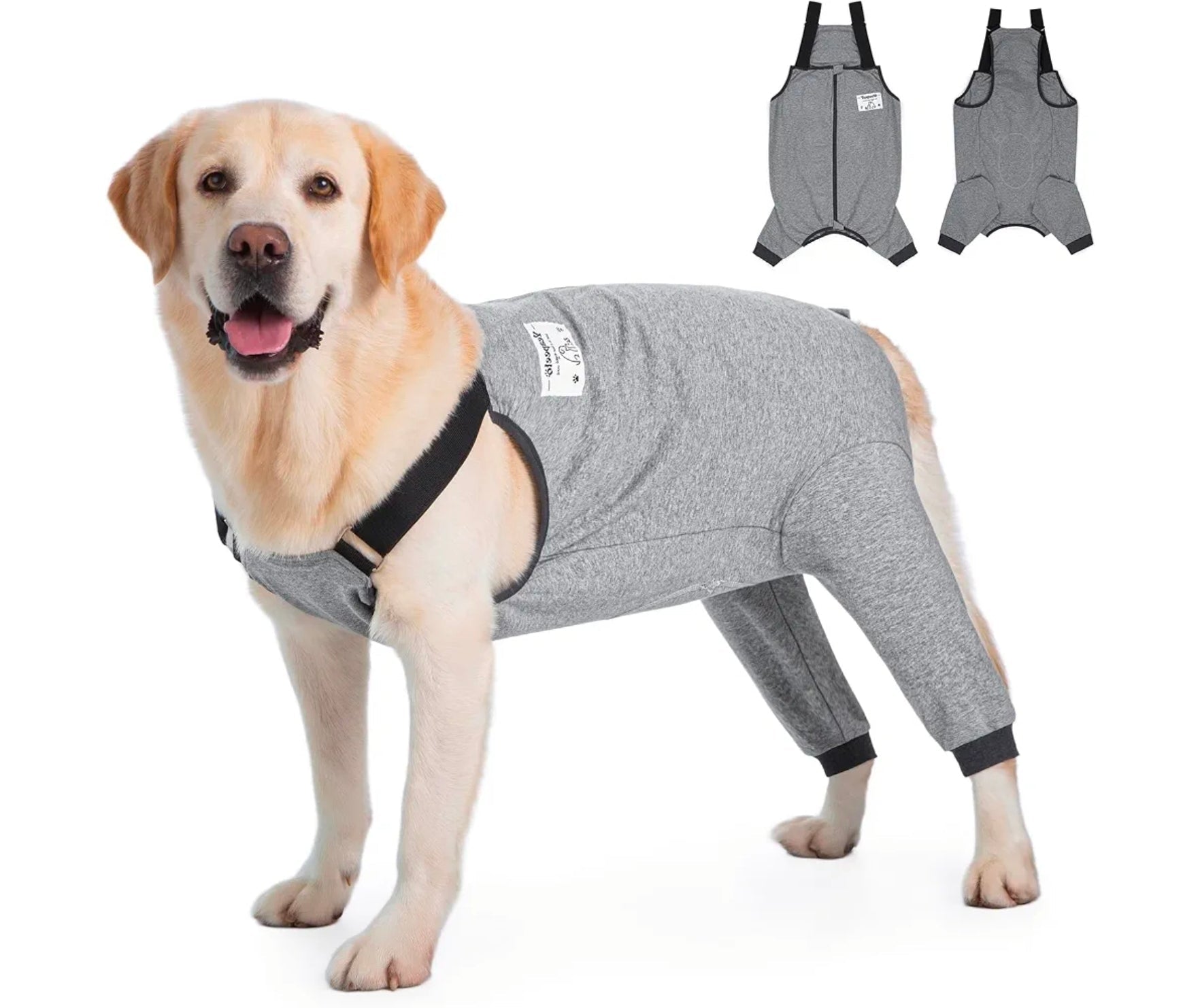 Gray Dog Recovery Suit: Comfy Hip Wound Protective Pants - Horizon Endless