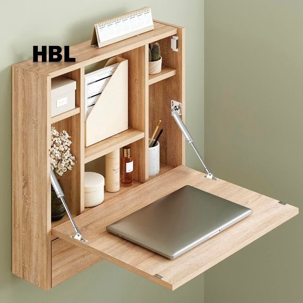 HBL' 2 Pack 100N/22LBS Drop Down Gas Struts for Drop-Front Desk Downward Slowly Such as Fold-Down Desk, Flap Lid - Horizon Endless