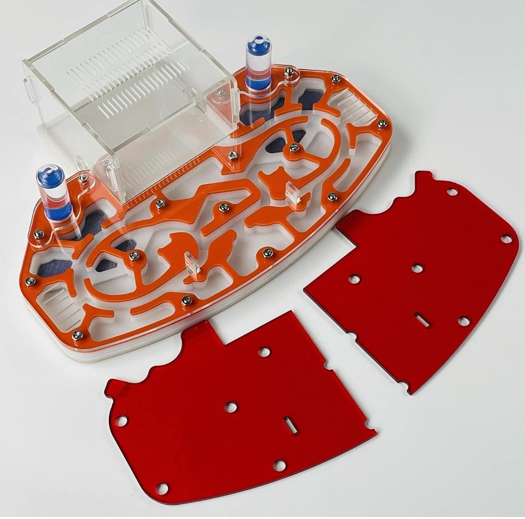 Large Acrylic Ant Farm Formicarium with Built-In Arena – 24 x 18cm Orange Ant Habitat - Horizon Endless