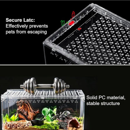 Polycarbonate Terrarium - Shatterproof Reptile Tank for Isopods, Frogs & Geckos - Horizon Endless