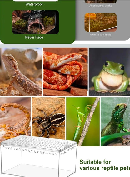 Polycarbonate Terrarium - Shatterproof Reptile Tank for Isopods, Frogs & Geckos - Horizon Endless