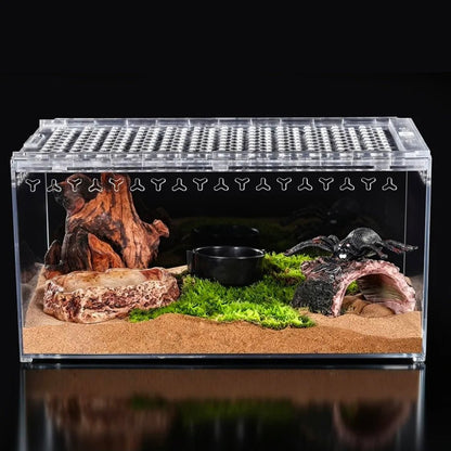 Polycarbonate Terrarium - Shatterproof Reptile Tank for Isopods, Frogs & Geckos - Horizon Endless
