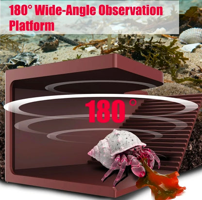 Hermit Crab Hideout with Climbing Tunnel | Hermit Crab Climbing Toys| Hermit Crab Water Tank Accessories |Hermit Crab Habitat, Also Suitable for Sea Turtles, Lizards and Tarantulas